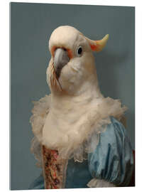 Acrylglasbild Der blaue Papagei - Sammlung "Les Plumées" - Philippe Tyberghien
