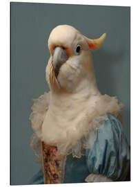 Alubild Der blaue Papagei - Sammlung "Les Plumées" - Philippe Tyberghien