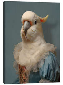 Leinwandbild Der blaue Papagei - Sammlung "Les Plumées" - Philippe Tyberghien
