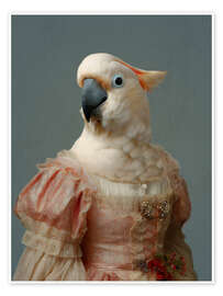 Wandbild Der Rosa Papagei - Kollektion "Les Plumées" - Philippe Tyberghien