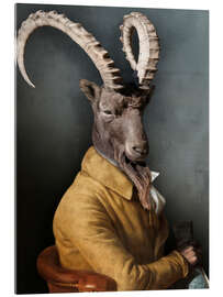 Acrylglasbild Marie Joseph, der Alpensteinbock - Philippe Tyberghien