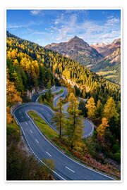 Poster Goldener Herbst am Malojapass im Engadin - Achim Thomae