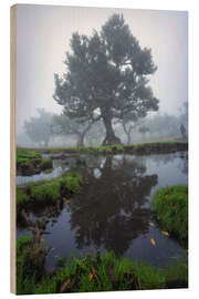 Holzbild Spiegelungen eines Lorbeerbaums auf Madeira