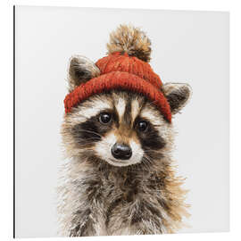 Alubild Winterlicher Waschbär mit Mütze - UtArt