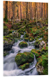 Acrylglasbild Herbst im Triglav Nationalpark Slowenien - Achim Thomae