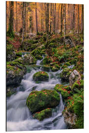 Tableau en aluminium Autumn in Triglav National Park, Slovenia - Achim Thomae