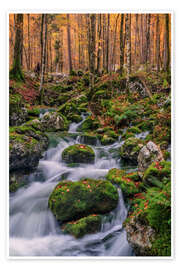 Wandbild Herbst im Triglav Nationalpark Slowenien - Achim Thomae