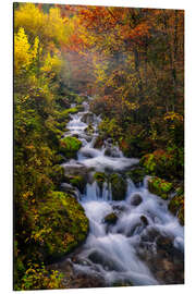 Aluminium print Golden October in Slovenia - Achim Thomae