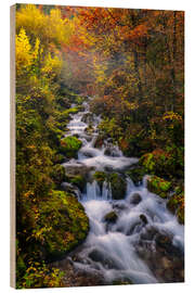 Holzbild Goldener Oktober in Slowenien - Achim Thomae