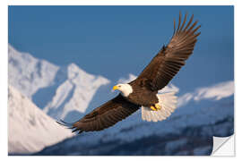 Wandsticker Weisskopfseeadler in der verschneiten Bergwelt II - Christian Müringer