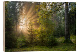 Holzbild Sonnenaufgang im Erzgebirgswald - Moqui, Daniela Beyer