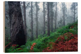 Holzbild Eukalyptuswald auf Madeira - Martin Podt