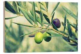 Holzbild Olivenzweig