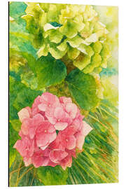 Tableau en aluminium Pink hydrangea in summer light - Natalie Bruns