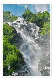 Wandbild Kraft der Natur - Bernhard Kaiser