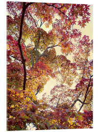 Acrylglasbild Japanischer Garten