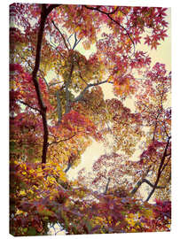 Leinwandbild Japanischer Garten