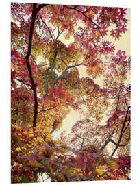 Hartschaumbild Japanischer Garten