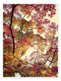 Poster Japanischer Garten