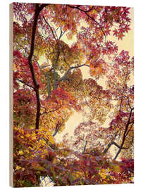 Holzbild Japanischer Garten