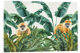 Acrylglasbild Tropisches Dschungel-Affenabenteuer
