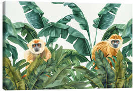 Leinwandbild Tropisches Dschungel-Affenabenteuer