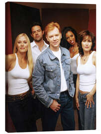 Leinwandbild CSI Miami