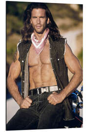 Alubild Renegade - Lorenzo Lamas
