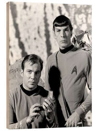 Holzbild Star Trek, William Shatner, Leonard Nimoy