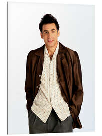 Aluminium print Seinfeld, Michael Richards, 1990-98