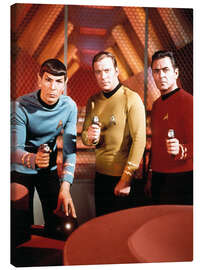 Leinwandbild Star Trek, 1966-69