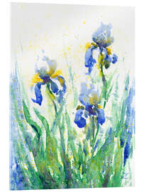 Acrylglasbild Schwertlilien - Zaira Dzhaubaeva