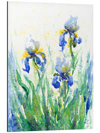 Alubild Schwertlilien - Zaira Dzhaubaeva