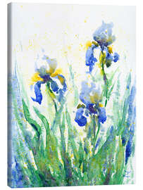 Leinwandbild Schwertlilien - Zaira Dzhaubaeva