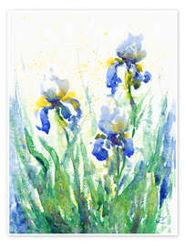 Wandbild Schwertlilien - Zaira Dzhaubaeva