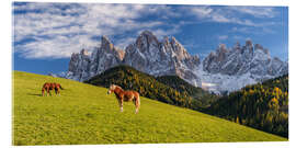 Acrylglasbild Herbst im Villnößtal Südtirol - Achim Thomae