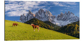 Alubild Herbst im Villnößtal Südtirol - Achim Thomae