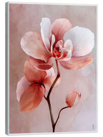 Leinwandbild Rosé-Orchidee - artill