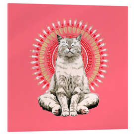 Acrylglasbild Stille Pfoten, ruhiger Geist - DejaReve