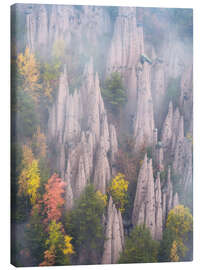 Leinwandbild Erdpyramiden von Renon in den italienischen Dolomiten - Jos Pannekoek