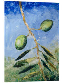 Acrylglasbild Fionas Oliven - Michael Potter Studio