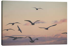 Leinwandbild Vogelschwarm im Sonnenuntergang - Nathan Larson
