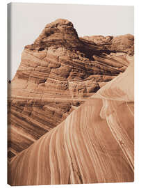 Leinwandbild Coyote Buttes I - Alan Majchrowicz