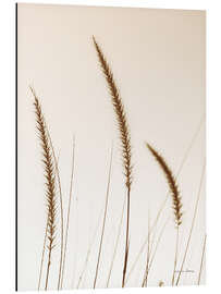 Alubild Field Grasses IV