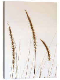 Leinwandbild Field Grasses IV
