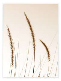 Wandbild Field Grasses IV - Debra Van Swearingen