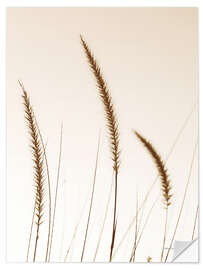 Wandsticker Field Grasses IV