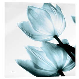 Acrylglasbild Translucent Tulips II - Debra Van Swearingen