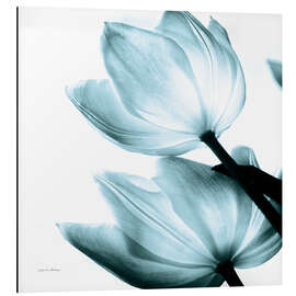 Alubild Translucent Tulips II - Debra Van Swearingen