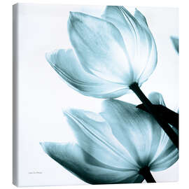 Leinwandbild Translucent Tulips II - Debra Van Swearingen